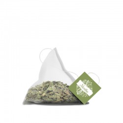 Menthe poivrée Bio 10 sachets