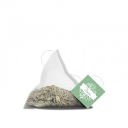 Thym sud France BIO 10 sachets