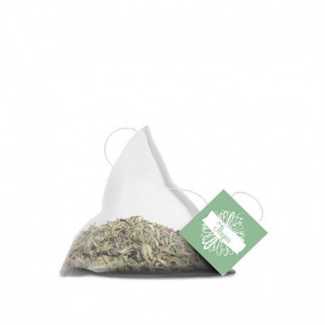 Thym sud France BIO 10 sachets